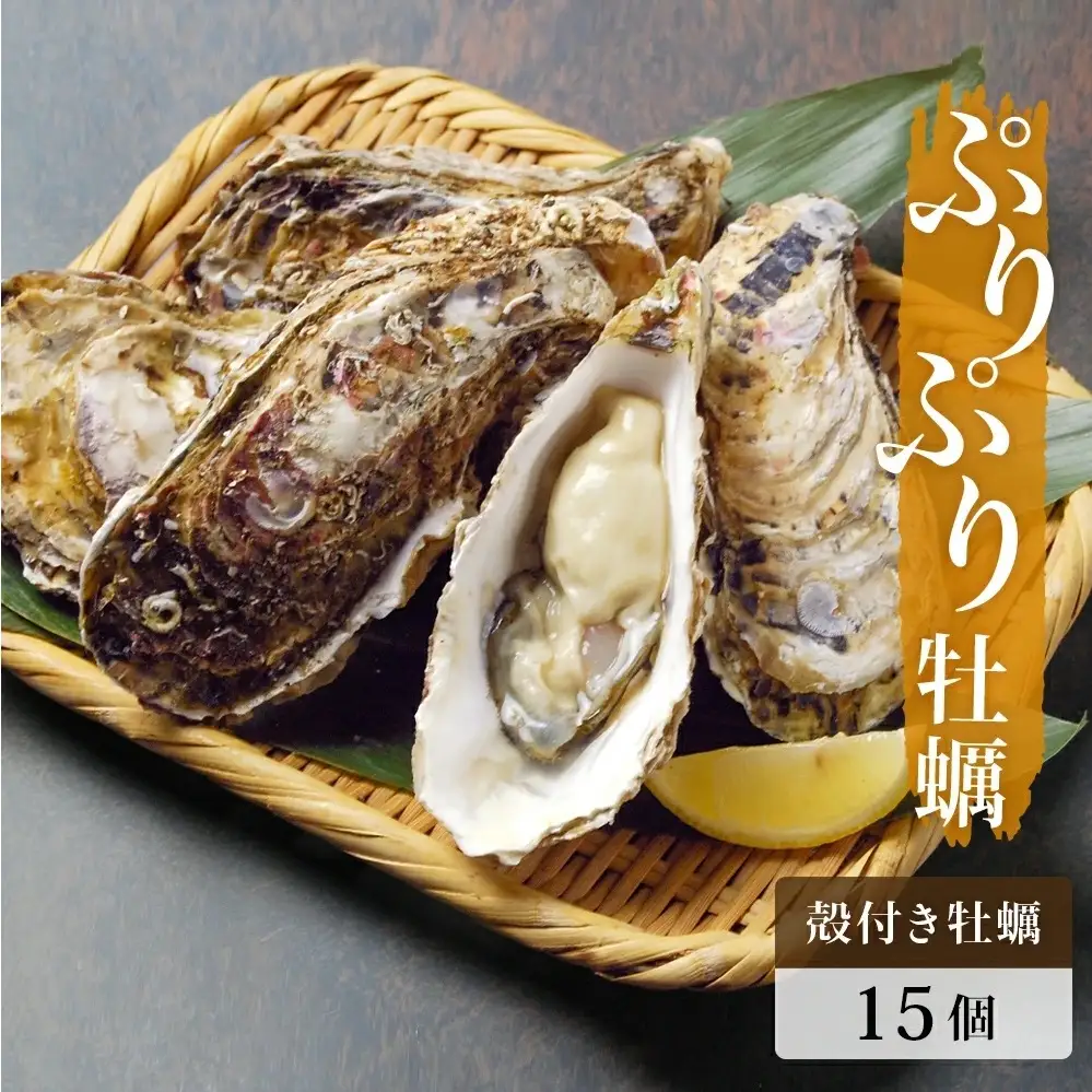 殻付き牡蠣 15個 生食用 牡蠣 カキ 殻付き 冷蔵 宮城 かき 海鮮 魚介 貝類 海の幸 海産物 魚介類 家庭用 宮城県 石巻市