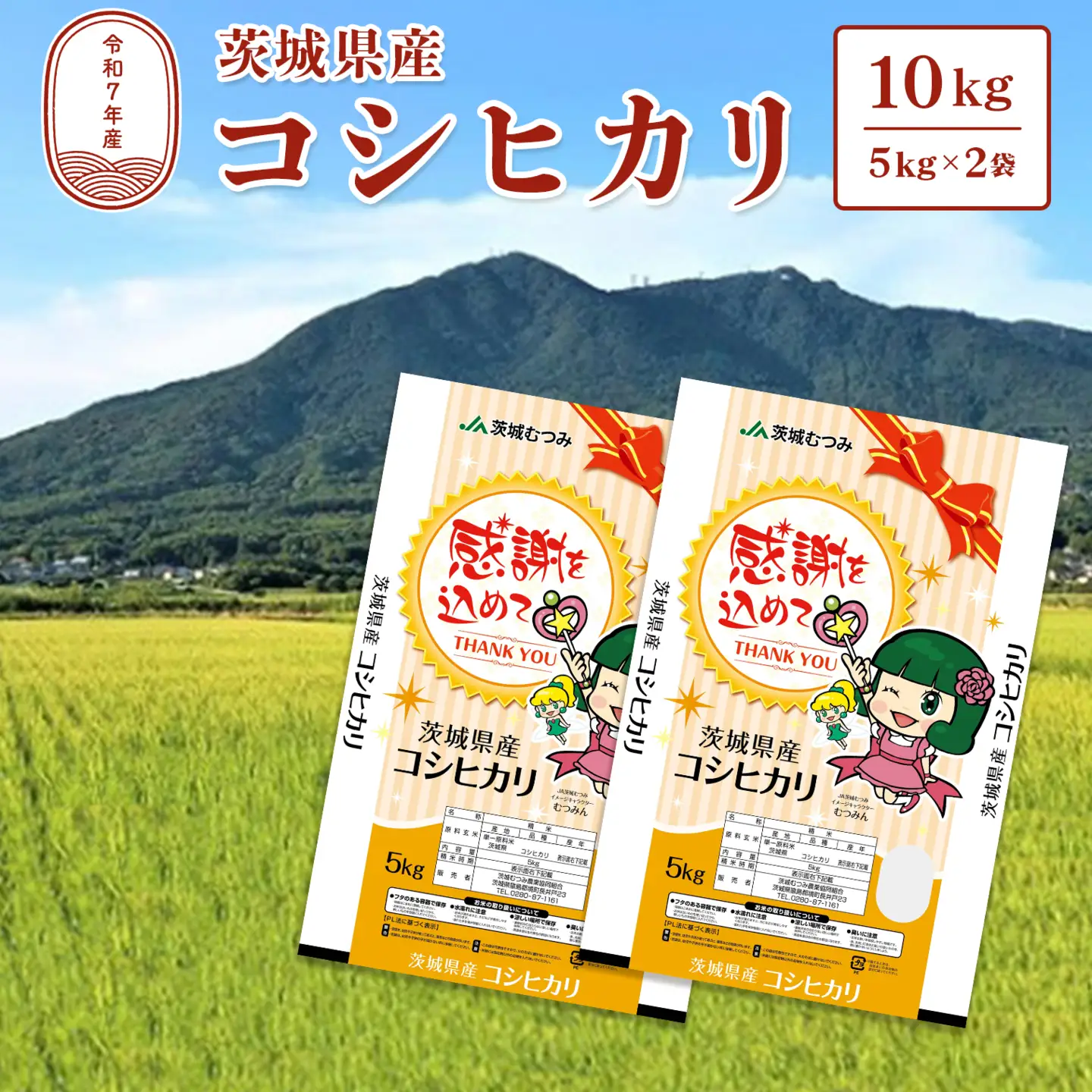 【令和7年産】茨城県産 コシヒカリ10kg (5kg×2袋) 白米 JA茨城むつみ こしひかり K2086