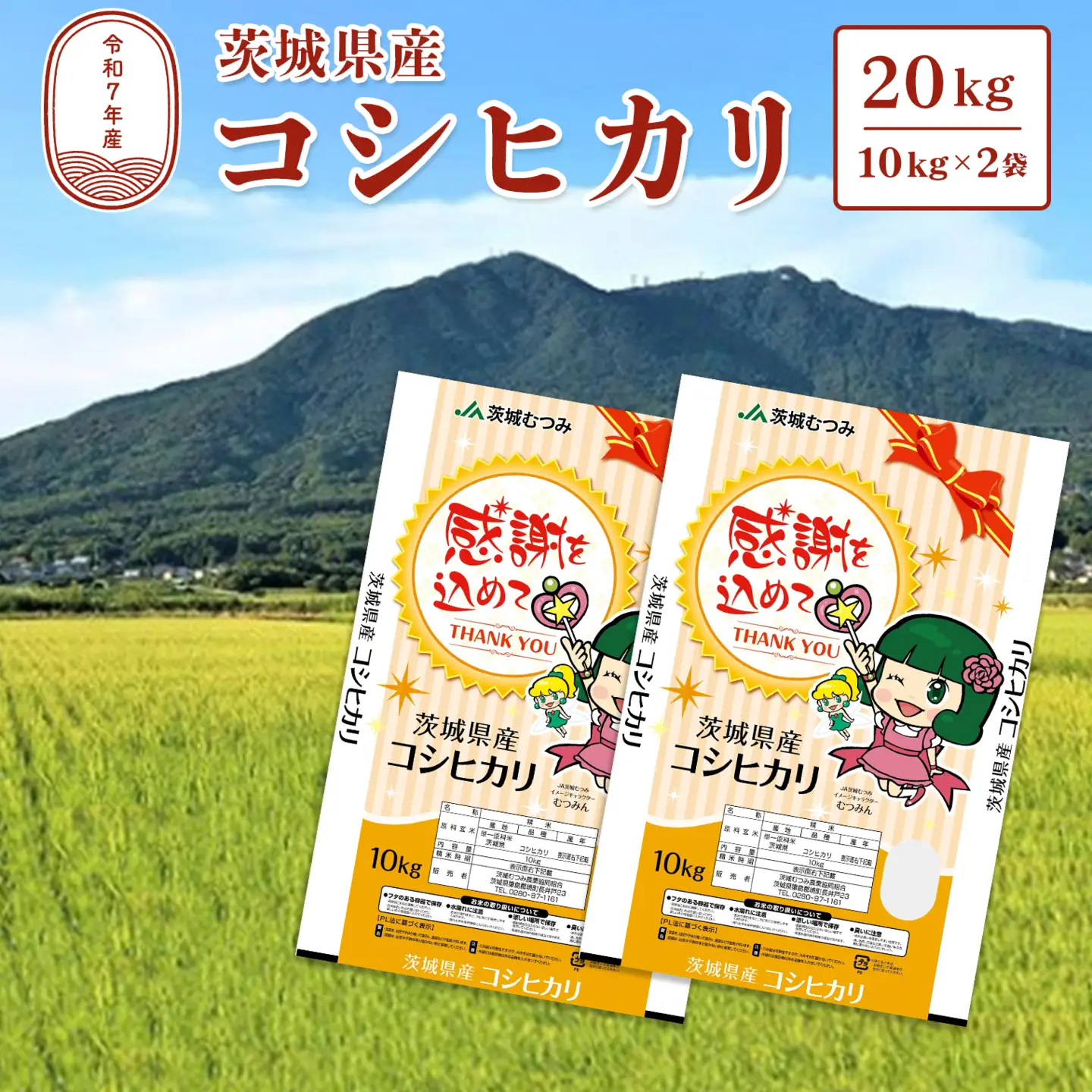 【令和7年産】茨城県産 コシヒカリ20kg (10kg×2袋) 白米 JA茨城むつみ こしひかり K2087