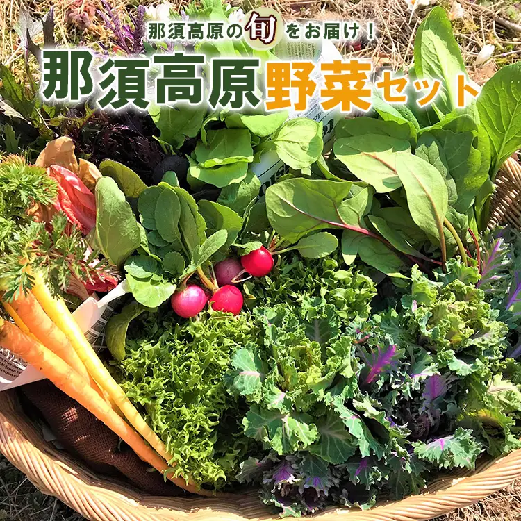 那須ブランド 那須高原野菜セット ｜ 野菜 お野菜 新鮮 詰め合わせ やさい みずみずしい 美味しい 自然 栃木県 那須町〔B-80〕 ※北海道・沖縄・離島への配送不可 ※2025年11月上旬～2026年10月下旬頃に順次発送予定