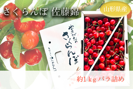 【2027年発送】「秀品」さくらんぼ佐藤錦1kg（L玉・化粧箱・バラ詰）_H035(R9)