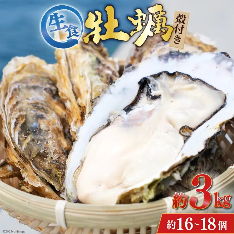 【期間限定発送】 TVで紹介！ 牡蠣 3～4年モノ 生食 殻付き牡蠣 約3kg(約16-18個入) 