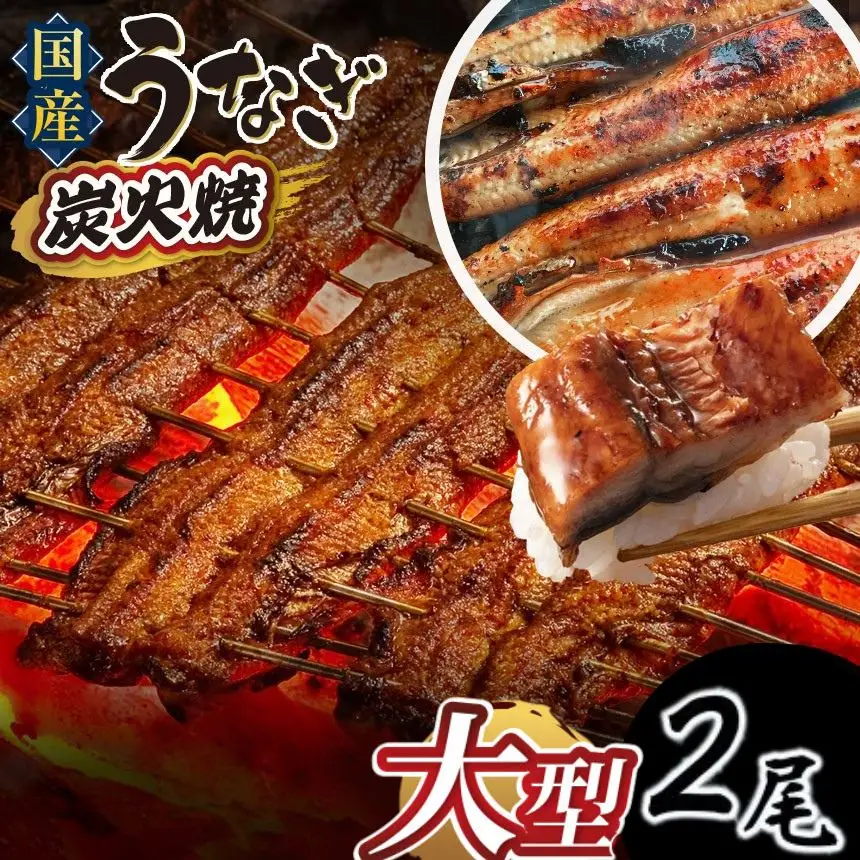 数量限定 国産 特大うなぎ 2尾 鰻
