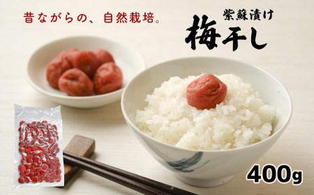 自然栽培  昔ながらの紫蘇漬け梅干し 400g | 熊本県 熊本 くまもと 和水町 なごみまち なごみ 梅 シソ 紫蘇 しそ うめ 梅干し 梅干