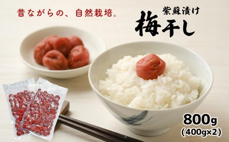 自然栽培  昔ながらの紫蘇漬け梅干し 800g | 熊本県 熊本 くまもと 和水町 なごみまち なごみ 梅 シソ 紫蘇 しそ うめ 梅干し 梅干