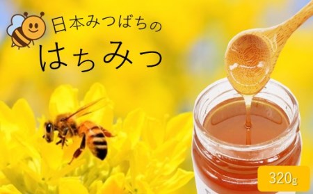 和水町産 日本蜜蜂のはちみつ｢希少品｣ 320g | 熊本県 熊本 くまもと 和水町 なごみまち なごみ ハチミツ ハチミツ 蜂蜜 日本蜜蜂 国産 320g 瓶