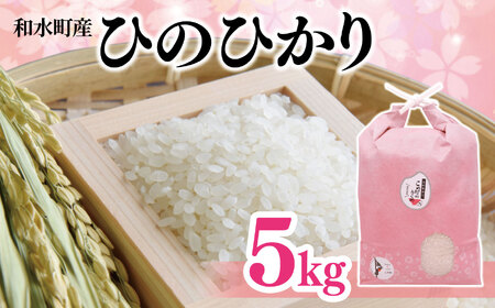 熊本県産「ひのひかり」5kg | 白米 熊本県 白米 熊本 白米 くまもと 白米 和水町 白米 なごみまち 白米 ひのひかり 白米 ヒノヒカリ 白米 5kg 白米