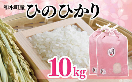 熊本県産「ひのひかり」10kg | 白米 熊本県 白米 熊本 白米 くまもと 白米 和水町 白米 なごみまち 白米 ひのひかり 白米 ヒノヒカリ 白米 10kg 白米