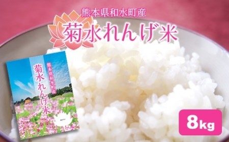  熊本和水町産 ひのひかり（菊水れんげ米）8kg