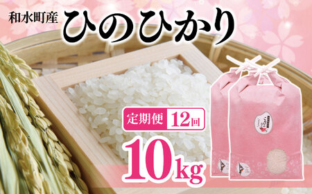 【定期便12回】熊本県産「ひのひかり」10kg | 白米 熊本県 白米 熊本 白米 くまもと 白米 和水町 白米 なごみまち 白米 ひのひかり 白米 ヒノヒカリ 白米 10kg 白米 定期便 白米 12回 白米 毎月発送 白米