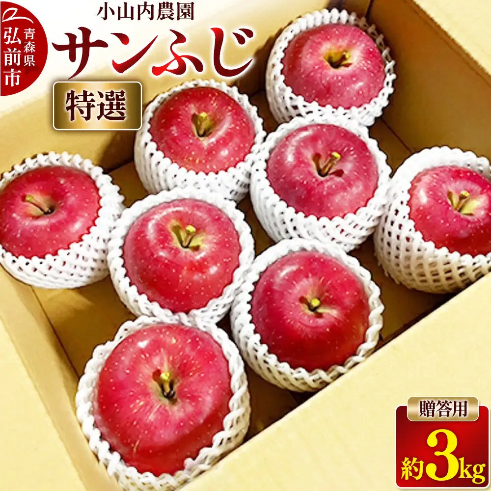 【26年12月発送】りんご サンふじ【特選】贈答用 約3kg 小山内農園【先行予約】