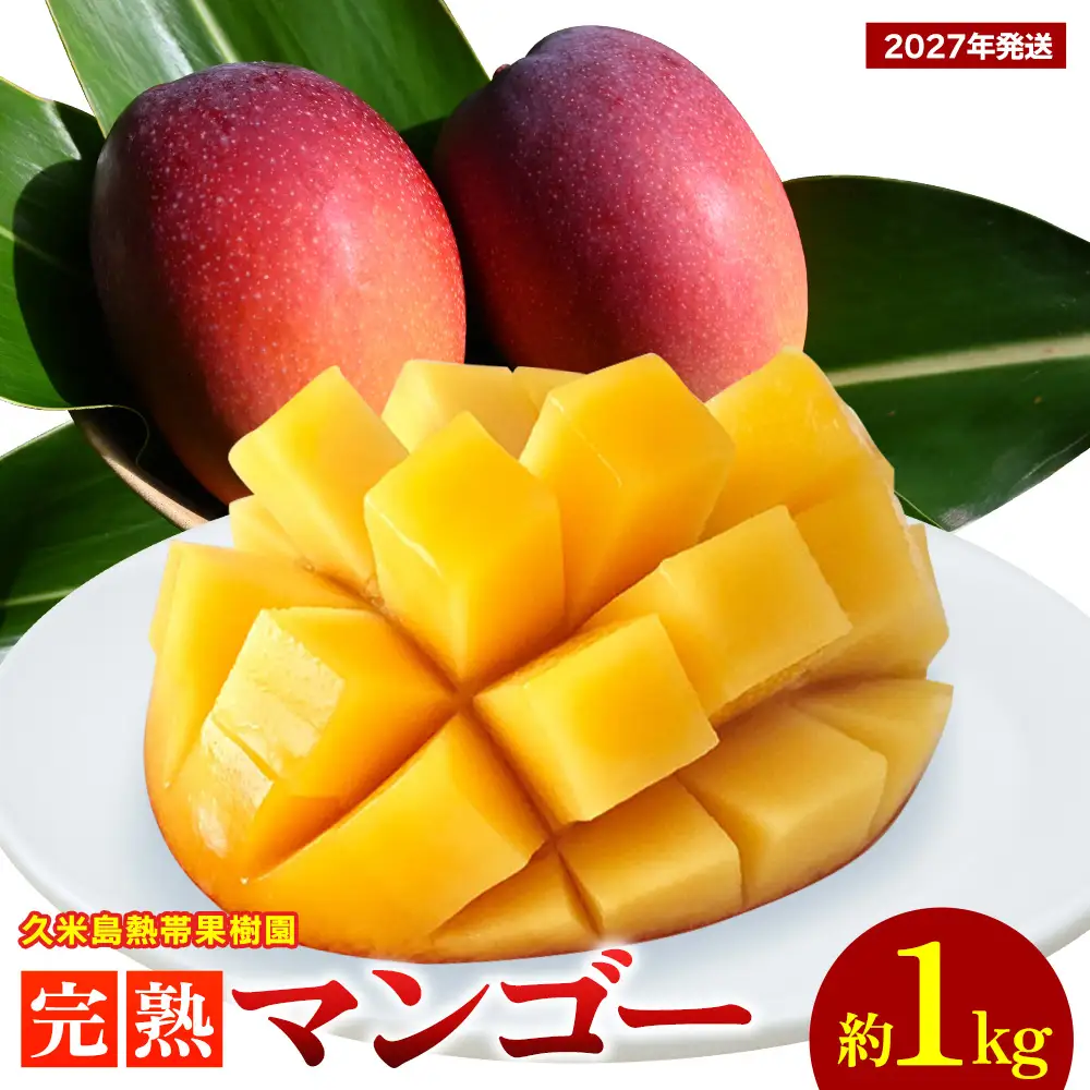 【2027年発送】久米島熱帯果樹園 完熟マンゴー 約1kg（2～3玉）