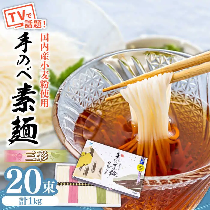 【手のべ陣川】 島原 手延べ そうめん 三彩 1kg LA-25 / 化粧箱 そうめん 島原そうめん 手延べ 麺 素麺 / 南島原市 / ながいけ [SCH010]