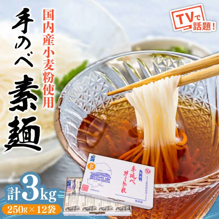 【手のべ陣川】 島原 手延べ そうめん 3kg / SC-35/ 袋入 そうめん 島原そうめん 手延べ 麺 素麺 / 南島原市 / ながいけ [SCH017]