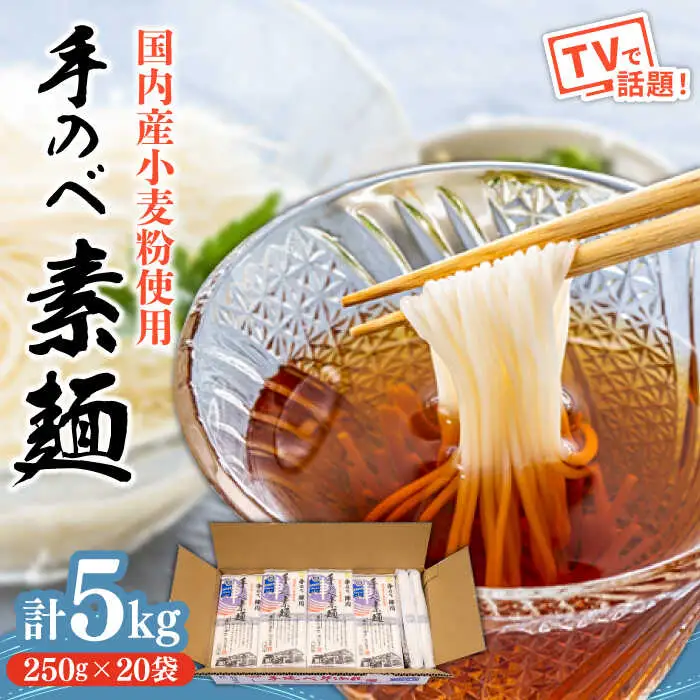 【手のべ陣川】 島原 手延べ そうめん 5kg / SC-55 / 袋入 そうめん 島原そうめん 手延べ 麺 素麺 / 南島原市 / ながいけ [SCH018]