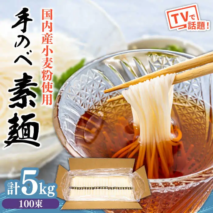 【手のべ陣川】熟成麺 島原 手延べ そうめん 5kg / L-100 / 化粧箱 そうめん 島原そうめん 手延べ 麺 素麺 / 南島原市 / ながいけ [SCH026]