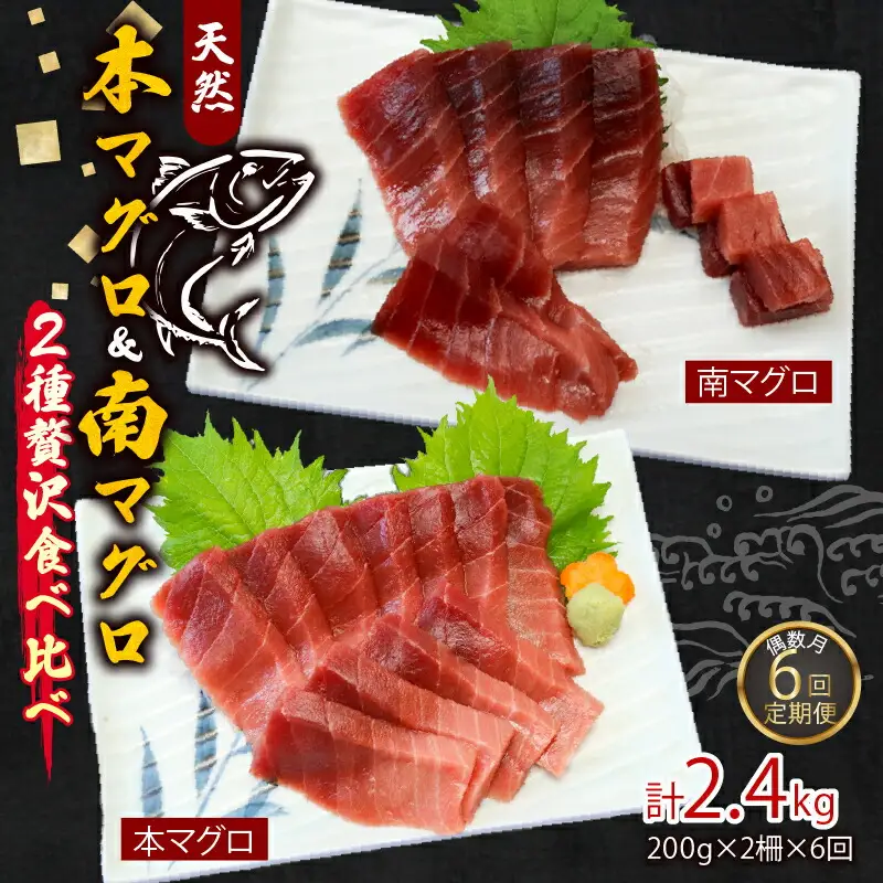 【定期便/計6回】本マグロ・南マグロ中トロ2柵【偶数月】 eb018
