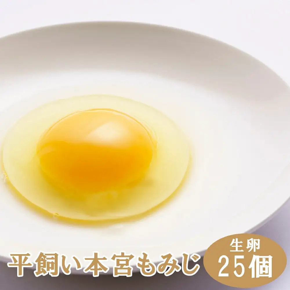 福島県本宮市産　平飼い本宮もみじ卵　生卵25個　【07214-0012】