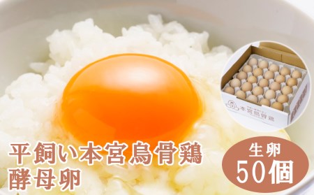 福島県本宮市産　平飼い本宮烏骨鶏酵母卵　生卵50個　【07214-0019】