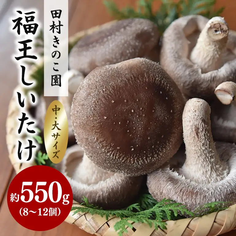 【先行販売/2026年10月末以降発送】福王しいたけ 中～大サイズ 約550g IA-001