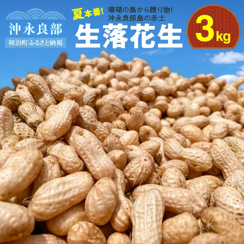 ■夏本番！珊瑚の島から贈り物！沖永良部島の赤土 生落花生3kg！【7月後半～9月上旬】 W045-002u 野菜 落花生
