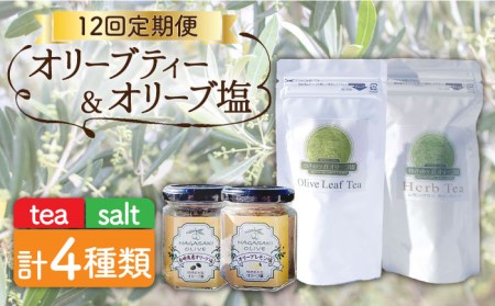 【全12回定期便】オリーブ塩 ＆ オリーブティー セット （各2種）長与町/ゆきのヶ丘オリーブ園 [EAV009]  調味料 お茶 オリーブティー