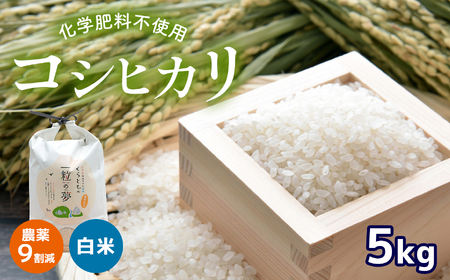農薬9割減・化学肥料不使用 コシヒカリ 5kg 令和6年産 米 (2025年2月以降の発送予定)