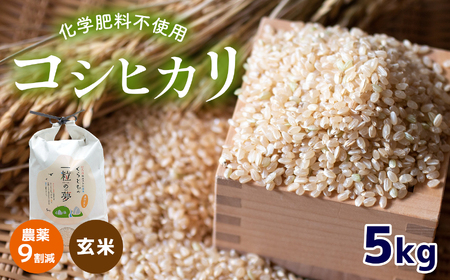 農薬9割減・化学肥料不使用 コシヒカリ(玄米) 5kg 令和6年産 米 (2025年2月以降の発送予定)
