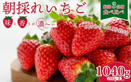 いちご 厳選朝採れいちご3種  食べ比べセット 4パック×1箱