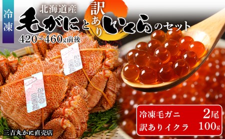 毛ガニ 冷凍 2尾 (1尾420-460g前後)・ 訳あり イクラ 100g セット AS170