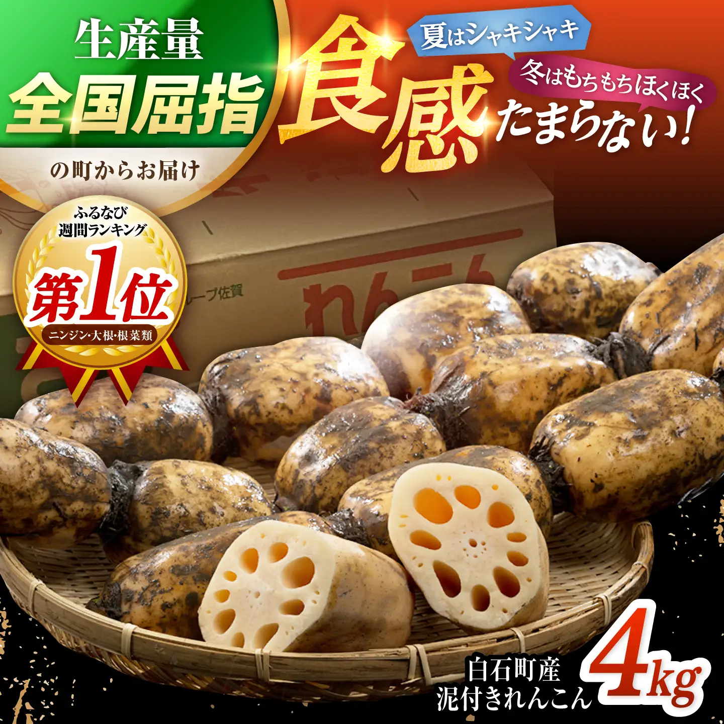 先行予約 2026年10月～発送】白石町産 泥付きれんこん （4kg