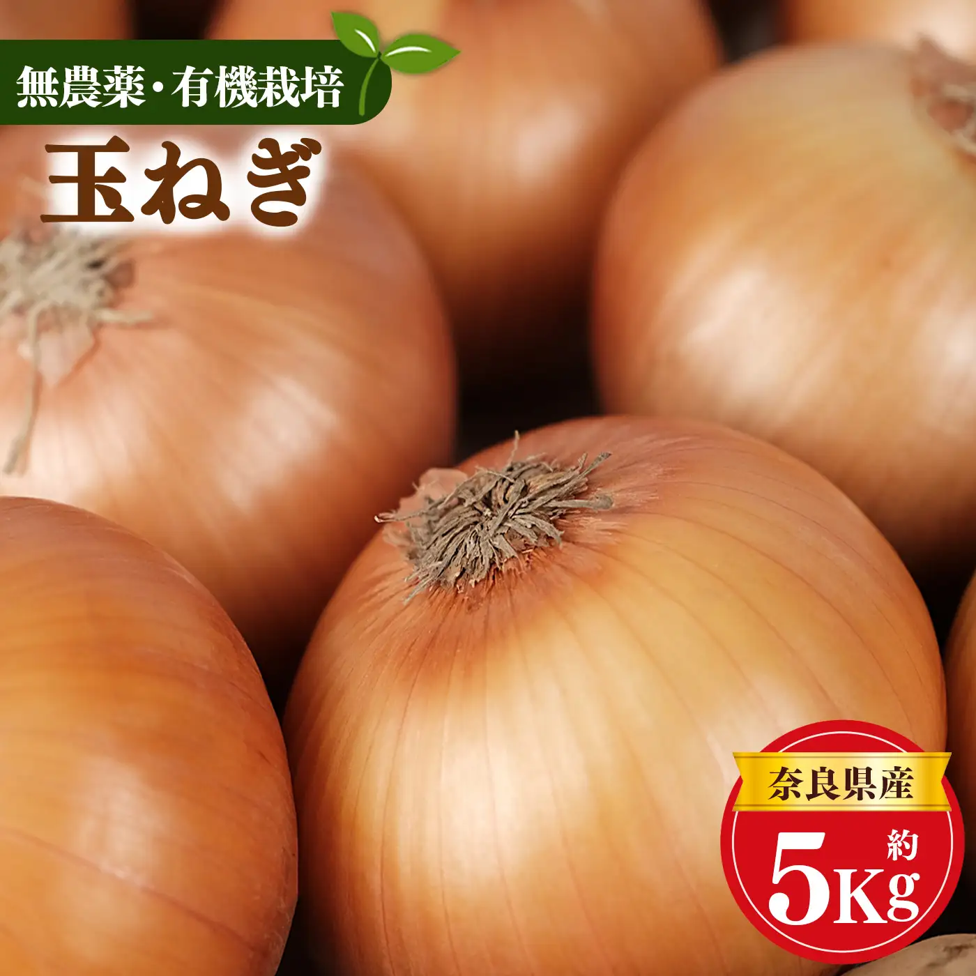 甘味たっぷり 生命の農法（ 無化学農薬 ・ 無化学肥料栽培 ） 玉ねぎ 5kg  | たまねぎ 慈光会自然食品販売所