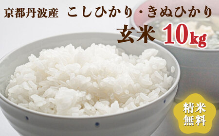 令和6年産 新米 先行予約  京都 丹波産 きぬひかり・こしひかりセット 玄米 10kg｜5つ星お米マイスター 厳選 受注精米可 ※離島への配送不可※2024年9月下旬以降順次発送予定≪米 大人気 人気 新米 国産 京都府産 京都産 亀岡市産 亀岡 新白米 国産 精白米≫