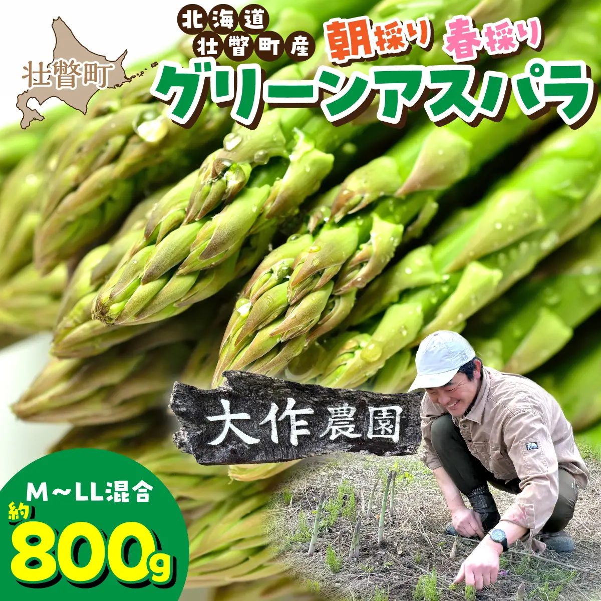 ＜2027年4月上旬よりお届け＞【朝採り】北海道壮瞥町産　春採りグリーンアスパラM～LL混合　約800g SBTR005