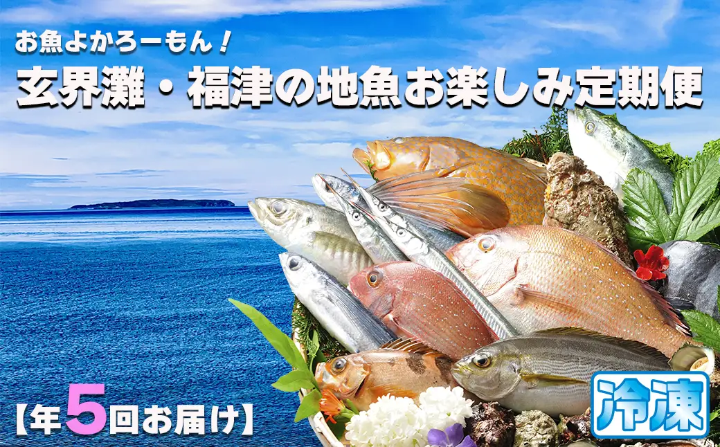【年5回】お魚よかろうもん！玄界灘・福津の地魚お楽しみ定期便【冷凍】【随時開始】[H7015]