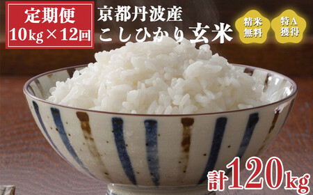 【定期便】米 令和5年産 京都 丹波産 こしひかり 玄米 10kg（5kg×2袋）12回 計120kg｜5つ星お米マイスター 厳選 受注精米可 隔月発送も可 ※離島への配送不可≪大人気 人気 新米 国産 京都府産 京都産 丹波産 亀岡市産 亀岡 新白米 国産 精白米≫