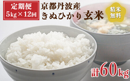 【定期便】令和6年産 新米 先行予約  京都 丹波産 きぬひかり 玄米 5kg×12回 計60kg｜5つ星お米マイスター 厳選 受注精米可 隔月発送も可 ※離島への配送不可※2024年9月下旬以降順次発送予定≪米 大人気 人気 新米 国産 京都府産 京都産 亀岡市産 亀岡 新白米 国産 精白米≫