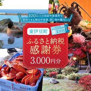 東伊豆町 ふるさと納税 感謝券 3000円 1066 ／ 静岡県 旅行 宿泊 食事 観光 チケット クーポン 補助 リフォーム ホテル 動物園 海鮮 みかん 金目鯛 稲取 熱川 ギフト 土産