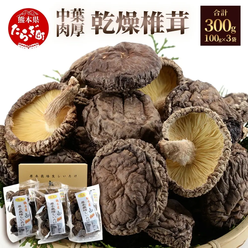槻木産 中葉厚肉 乾燥椎茸 計300g (100g×3袋) 026-0573