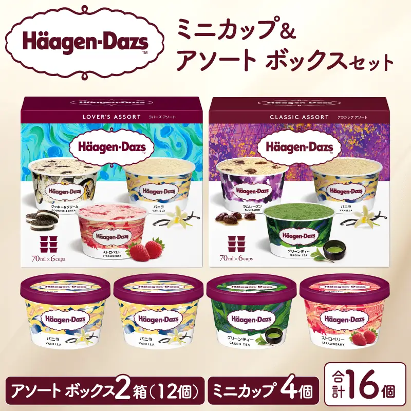 ハーゲンダッツ アイスクリーム バラエティセット アイス_H0026-102