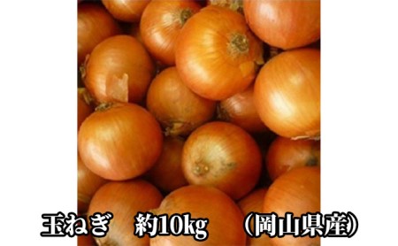 先行予約 玉ねぎ 約10kg（岡山県産）  玉ねぎ