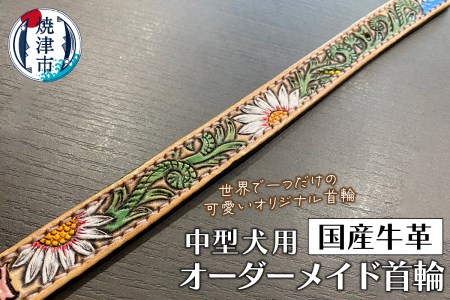 中型 犬 の 首輪 (a61-001)