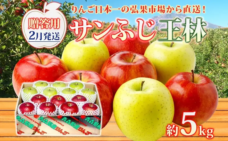 りんご詰合せ サンふじ王林 青森県産 贈答用 りんご詰合せ【約5kg】【2月発送】