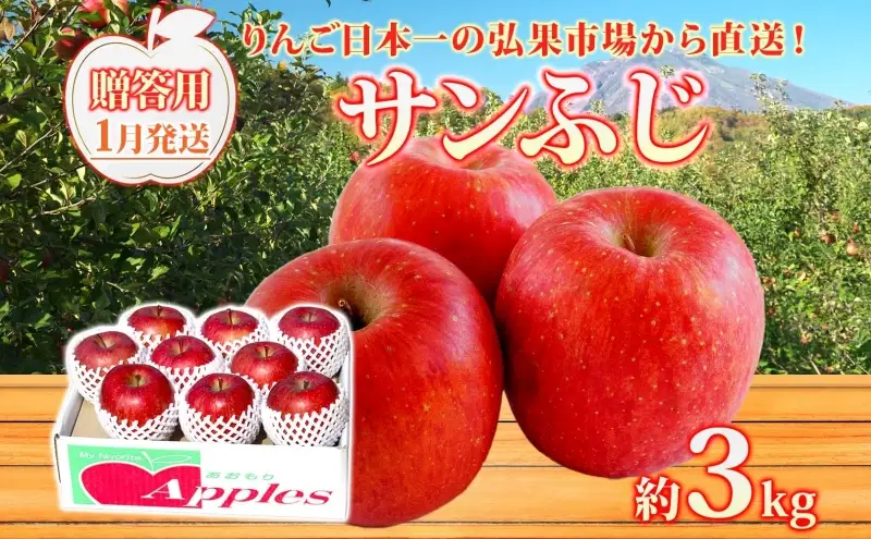 りんご贈答用サンふじ 青森県産 りんご【約3kg】【1月発送】