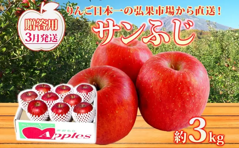 りんご贈答用サンふじ 青森県産 りんご【約3kg】【3月発送】