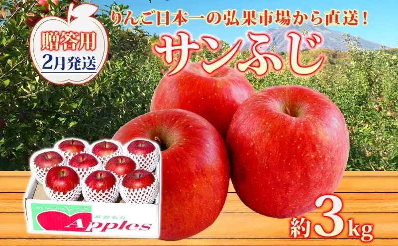 りんご贈答用サンふじ 青森県産 りんご【約3kg】【2月発送】