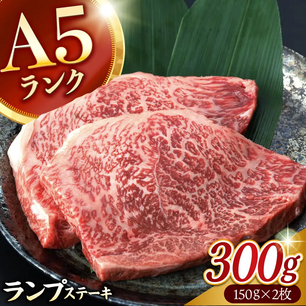 ランプステーキ 300g AHCW002 ランプステーキ