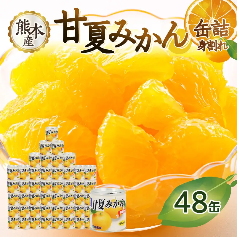 甘夏みかん 缶詰 24缶入り×2箱 計48缶 セット (身割れ) みかん 国産 007-014