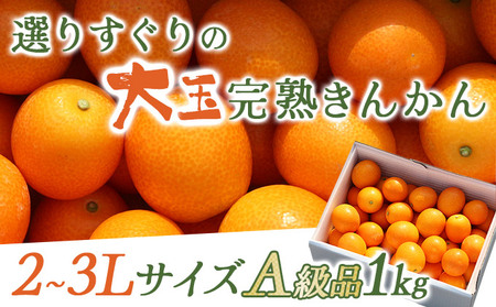＜先行予約＞【プレミアム】選りすぐりの大玉完熟きんかん１kg_K034-001
