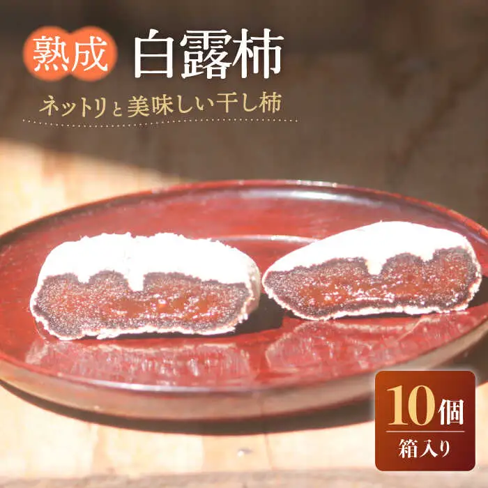 熟成白露柿 10個箱入り / 柿 かき 干し柿 ほしがき ホシガキ かき カキ カキ ほしがき / 南島原市 / 中邨 [SAG006]